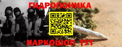 стаф Лесосибирск