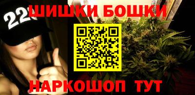 стаф Лесосибирск